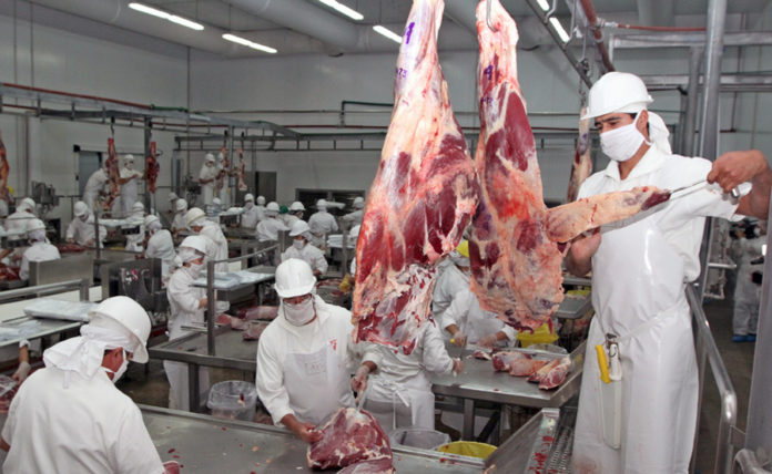FRIGORIFICO-CARNE-EXPOR-AGRICULTURA-VACUNO-CORTES-