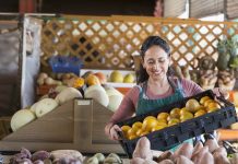 Convenio entre Hacienda, Fomento y AFD permitirá otorgar créditos por USD 145 millones a mipymes