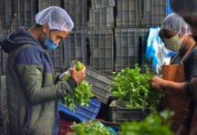 UIP convoca a mipymes a participar de concurso sobre innovación