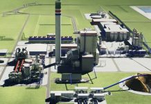 Paraguay reglamenta la Ley de Créditos de Carbono y proyecta USD 20.000 millones en inversiones forestales