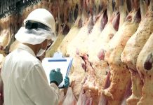 Exportaciones de carne bovina alcanzaron USD 1.918 millones a octubre con incremento del 27% y consolidan acceso a mercados estratégicos