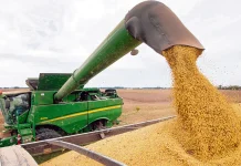 Exportaciones de soja bajan 1,5 millones de toneladas y generan US$ 797,8 millones menos en ingresos al cierre de octubre