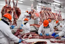 Paraguay concreta primera exportación avícola a Filipinas y registra récord en ventas cárnicas con ingresos de USD 2.255 millones