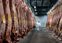 Sector cárnico paraguayo alcanza USD 2.483 millones en exportaciones con ascenso de Estados Unidos y récord en carne porcina