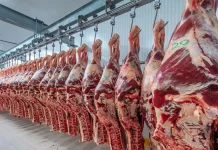 Exportaciones de carne paraguaya crecen 36,4% y se preparan para auditorías clave de Estados Unidos y Japón