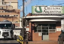 Celulosa Argentina en quiebra técnica: pérdidas de $172.634 millones, caída del 44% en ingresos y patrimonio neto negativo hunden a la histórica papelera