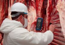 Paraguay amplía su alcance comercial: Filipinas habilita importación de carne bovina, porcina y aviar en un mercado de 115 millones de habitantes