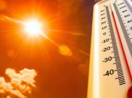 El calor extremo mina la productividad urbana: una bomba silenciosa para las economías de América Latina y una alerta para Paraguay