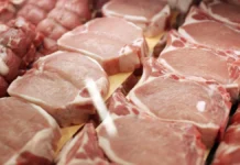 Sector porcino paraguayo proyecta inversiones superiores a USD 500 millones e impulsa apertura de nuevos mercados asiáticos