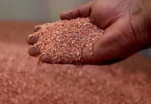 MOM Mining lanza el primer fideicomiso financiero minero de Argentina con Martín Bronce: la única mina de cobre operativa busca US$10 millones para industrialización y exportación de cemento de cobre