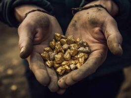 La escalada del oro impulsa la minería informal al 30% de la producción mundial: crisis ambiental y desafíos de regulación en el sector aurífero