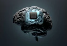 Merge Labs irrumpe en el sector de neurotecnología con 252 millones de dólares liderados por OpenAI