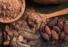 El cacao registra su peor desplome en dos años: caída del 70% desde máximos históricos y crisis de demanda comprometen la cadena productiva mundial