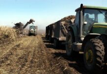 Trump recurre a visas temporales y recortes salariales para paliar la escasez de mano de obra agrícola que sus propias políticas migratorias agravaron