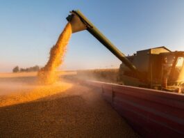 Mercado agrícola global se divide en el primer trimestre de 2026 por shock energético y crisis geopolítica