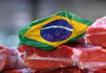 Brasil negocia con Bruselas una prórroga hasta 2029 ante el veto europeo a sus exportaciones cárnicas por el uso de antimicrobianos