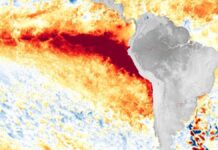 El Súper El Niño ya está aquí: la economía latinoamericana enfrenta su prueba de fuego